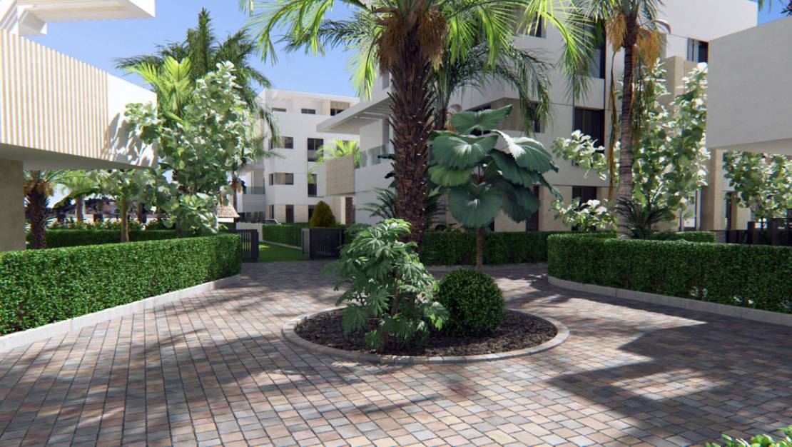 New Build - Apartment - Torre-Pacheco - Torre-Pacheco Centro