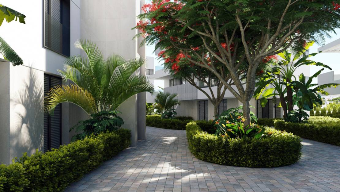 New Build - Apartment - Torre-Pacheco - Torre-Pacheco Centro