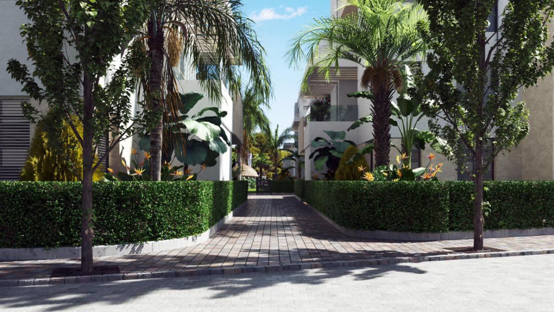 New Build - Apartment - Torre-Pacheco - Torre-Pacheco Centro