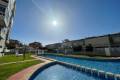 New Build - Apartment - Torrevieja - Torrevieja Centro