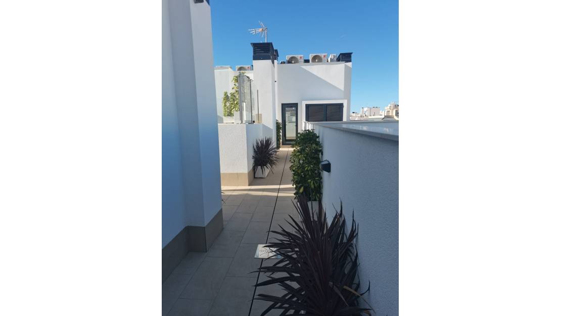 New Build - Apartment - Torrevieja - Torrevieja Centro