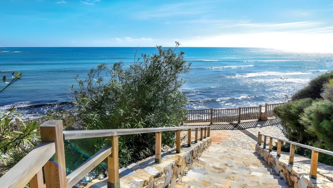 New Build - Apartment - Torrevieja - Torrevieja Centro