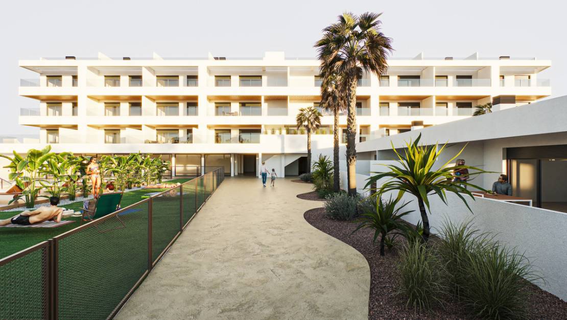 New Build - Apartment - Torrevieja - Torrevieja Centro