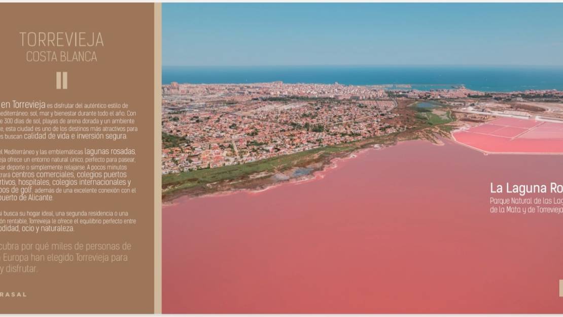 New Build - Duplex - Los Altos