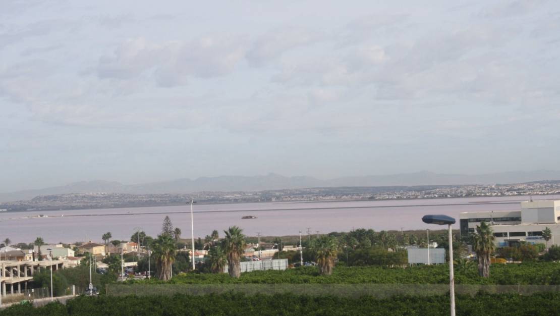 New Build - Terraced house - Torrevieja - Los altos