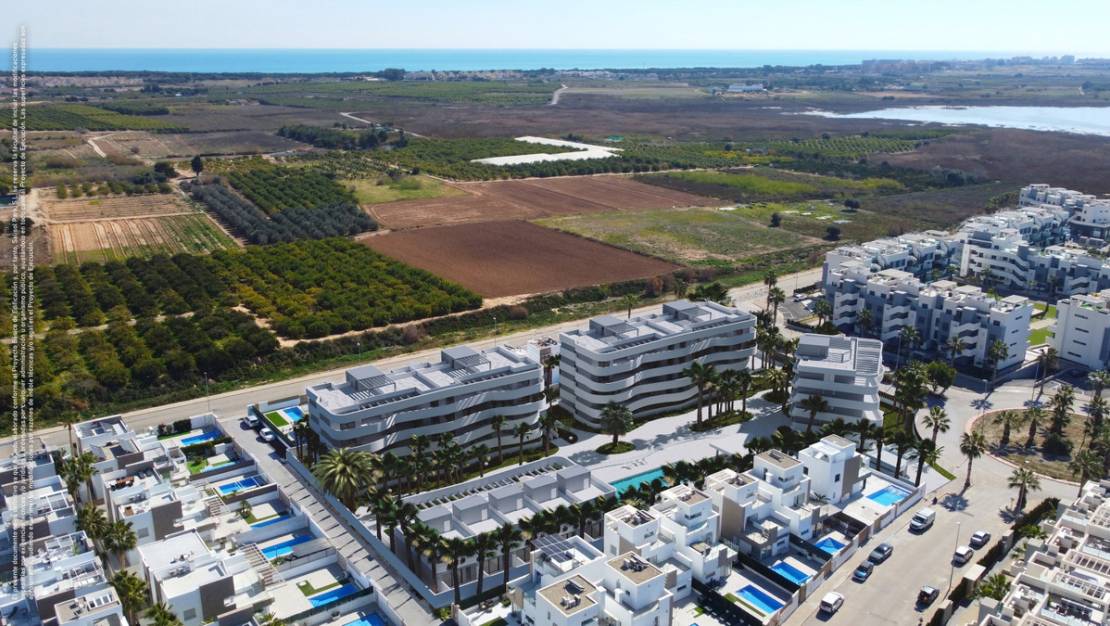 New Build - Town House - Guardamar del Segura - Urbanización El Raso