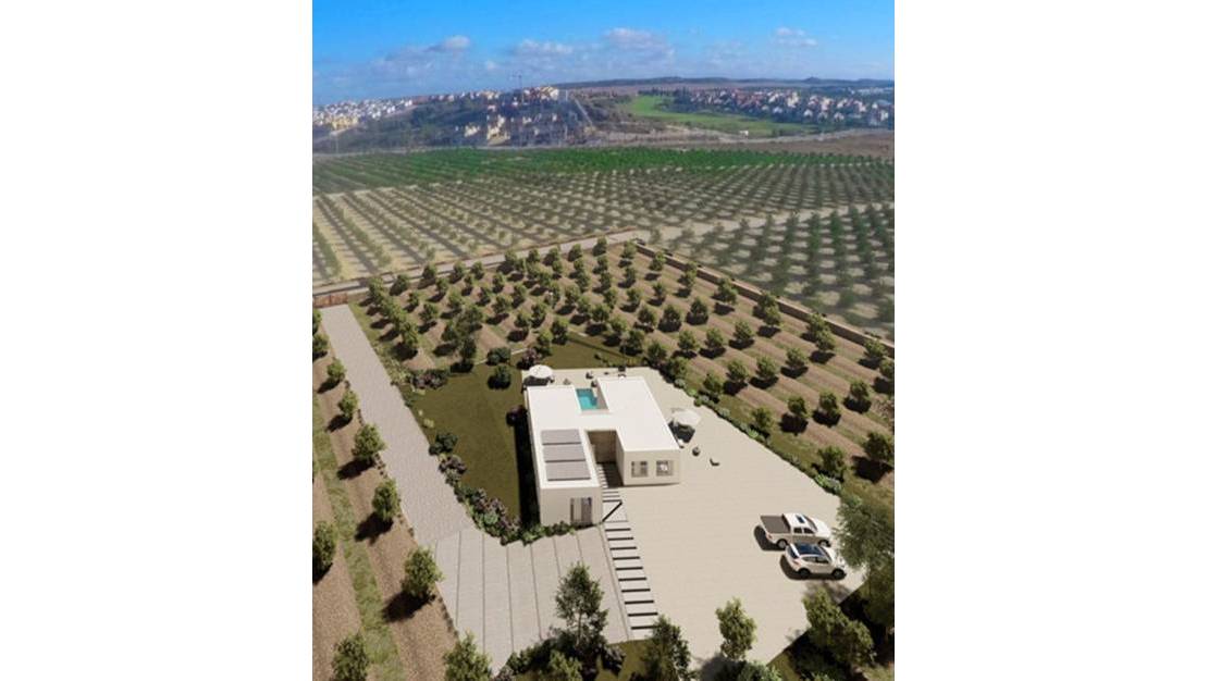New Build - Villa - Algorfa - Algorfa Centro