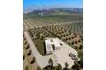New Build - Villa - Algorfa - Algorfa Centro
