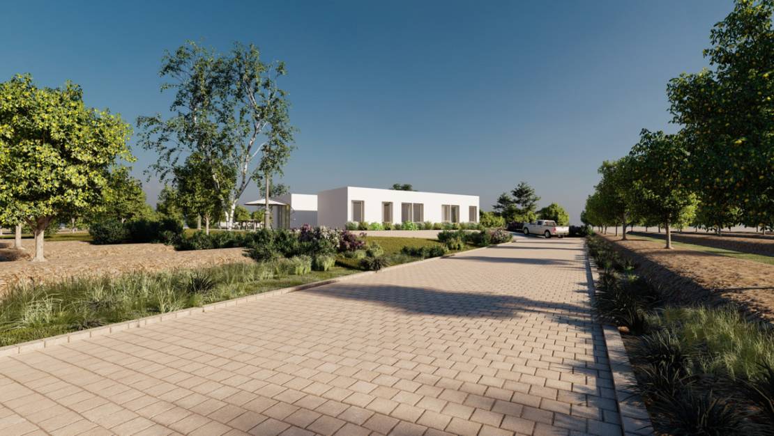 New Build - Villa - Benejúzar - Benejuzar Centro