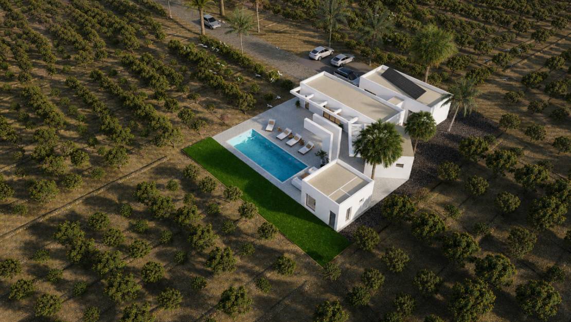 New Build - Villa - Benejúzar - Benejuzar Centro