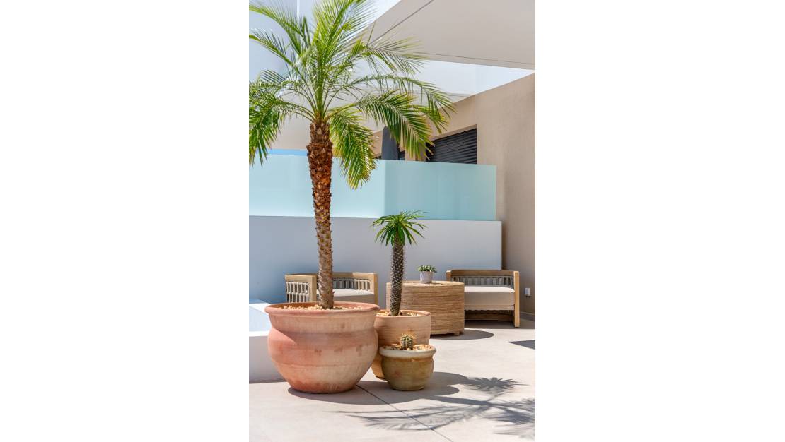 New Build - Villa - Dolores - Dolores Centro