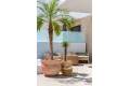 New Build - Villa - Dolores - Dolores Centro