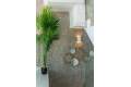 New Build - Villa - Los Montesinos - Los Montesinos Centro
