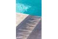 New Build - Villa - Los Montesinos - Los Montesinos Centro