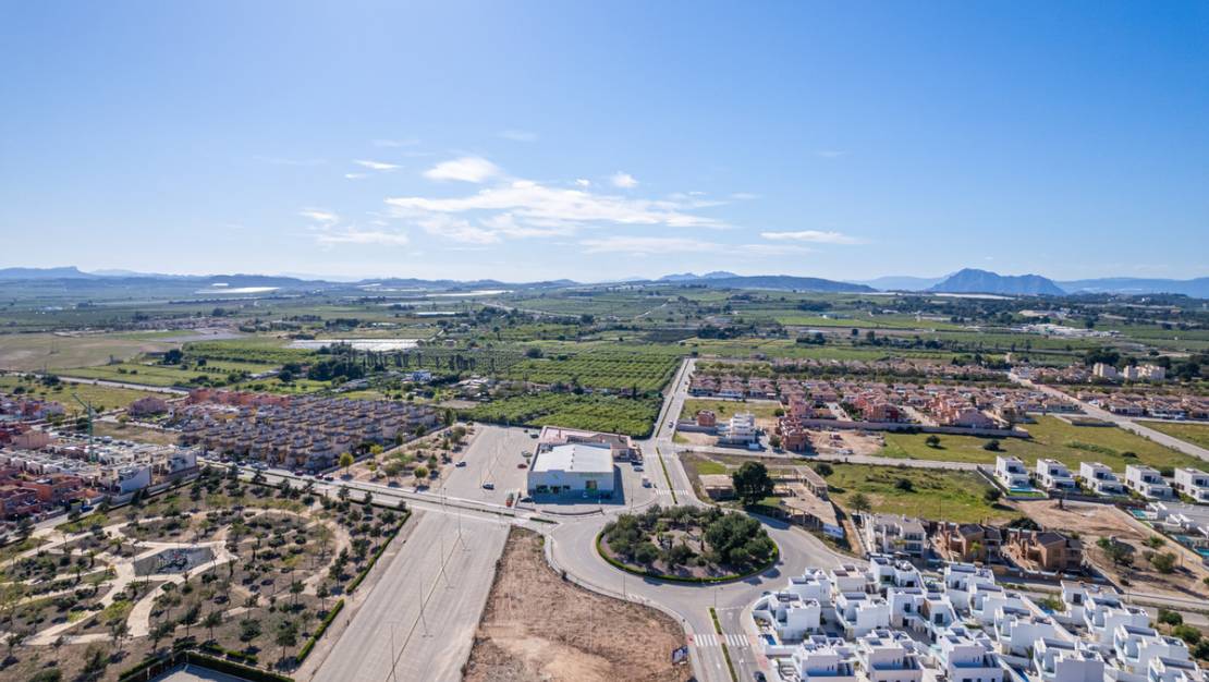 New Build - Villa - Los Montesinos - Los Montesinos Centro