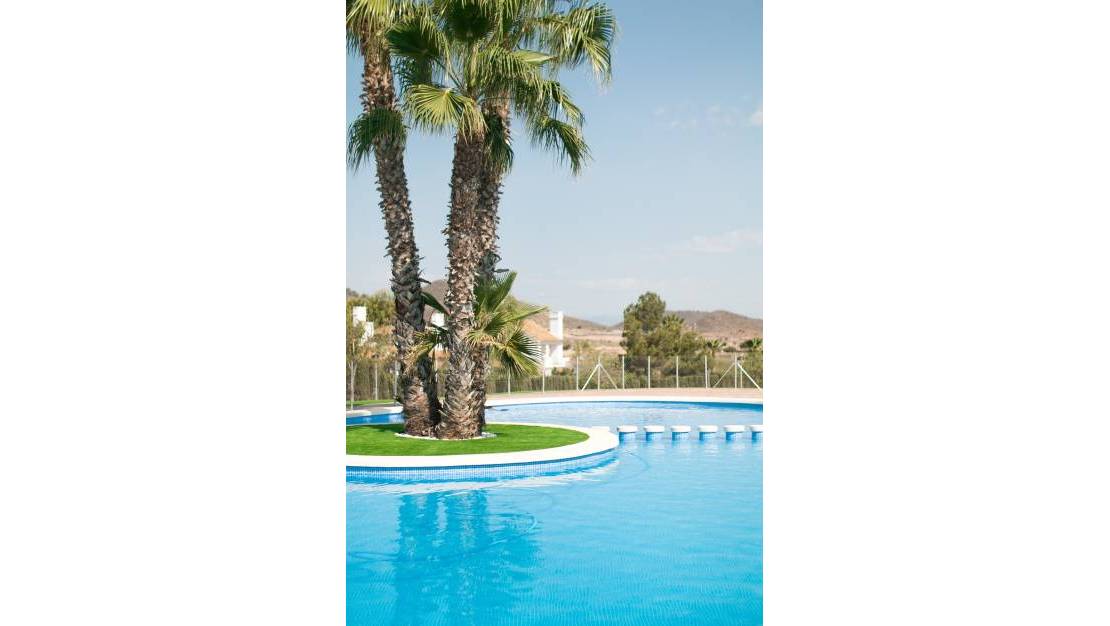 New Build - Villa - Murcia - Fuente Álamo de Murcia