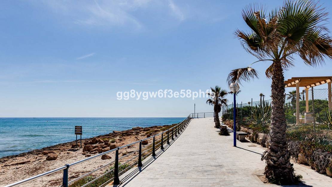 New Build - Villa - Orihuela - La Zenia