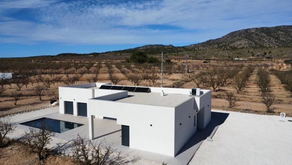 New Build - Villa - Pinoso - Las Encebras