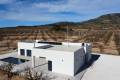 New Build - Villa - Pinoso - Las Encebras