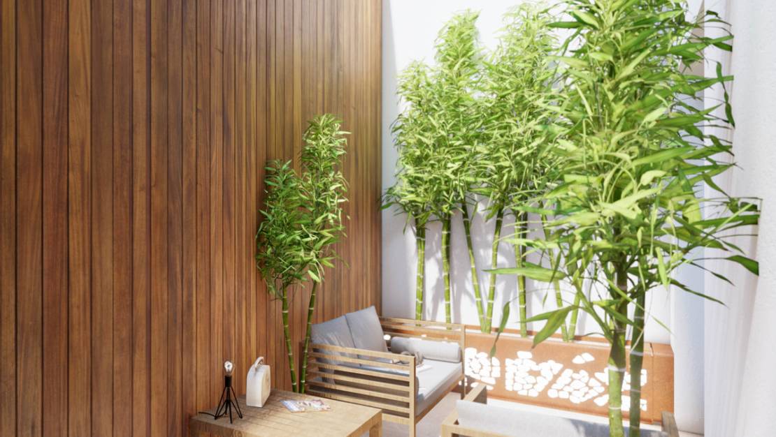 New Build - Villa - San Juan de Alicante - San Juan de Alicante Centro