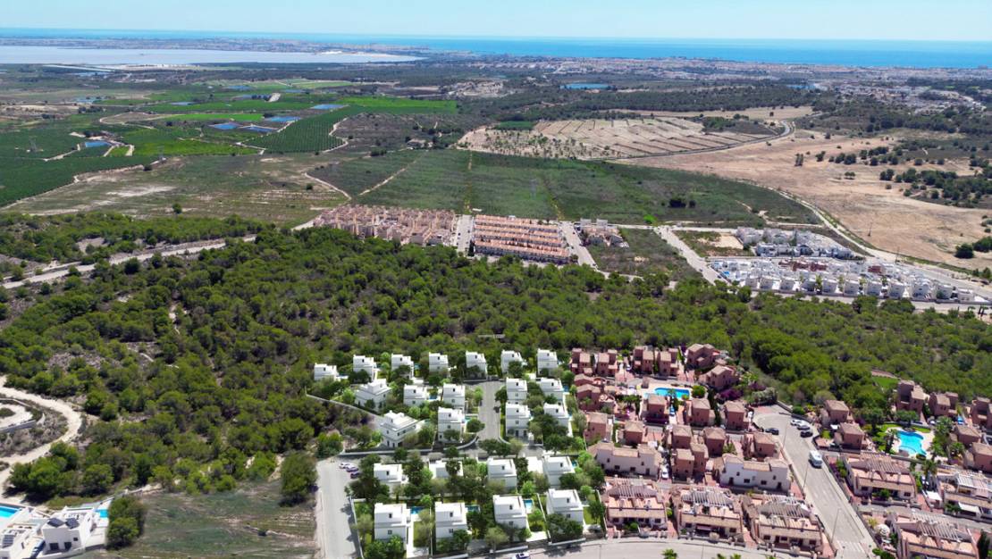 New Build - Villa - San Miguel de Salinas - San Miguel de Salinas Centro