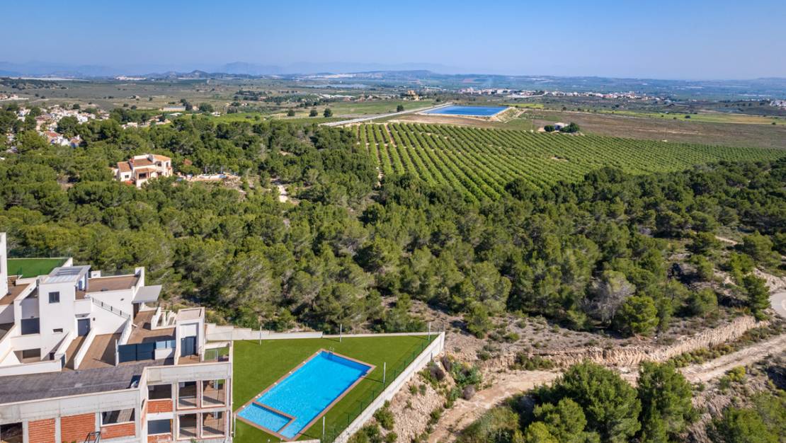New Build - Villa - San Miguel de Salinas - San Miguel de Salinas Centro