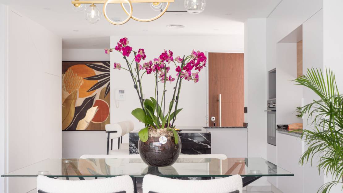 New Build - Villa - San Pedro del Pinatar - San Pedro del Pinatar Centro