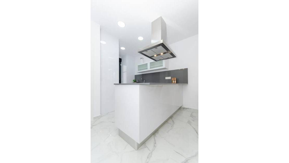New Build - Villa - Torrevieja - Torrevieja Centro