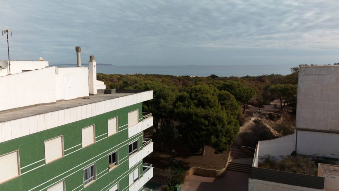 Nueva construcción  - Apartment - Guardamar del Segura - Guardamar del Segura Centro