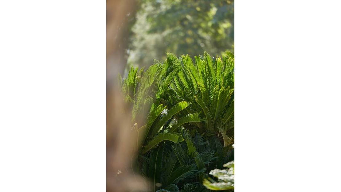 Nueva construcción  - Apartment - L'Alfás del Pi - L'Alfás del Pi Centro