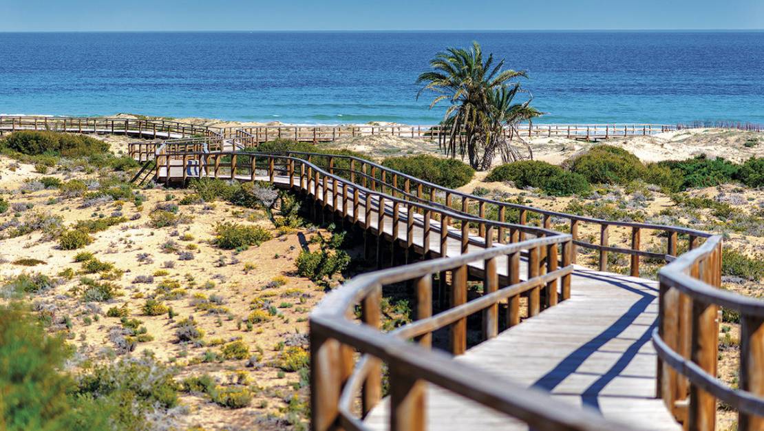 Nueva construcción  - Apartment - Monforte del Cid - Monforte del Cid Centro