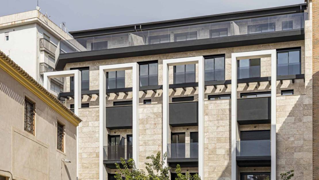 Nueva construcción  - Apartment - Murcia - Murcia Centro