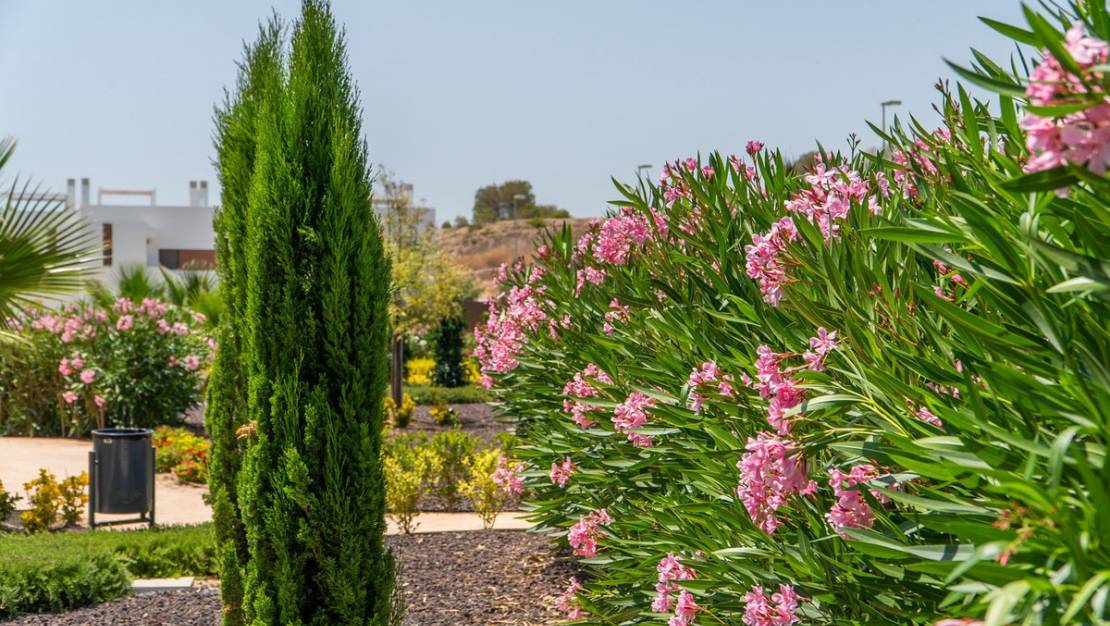 Nueva construcción  - Apartment - Orihuela - Vista Bella Golf