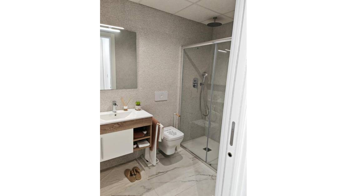 Nueva construcción  - Apartment - San Miguel De Las Salinas