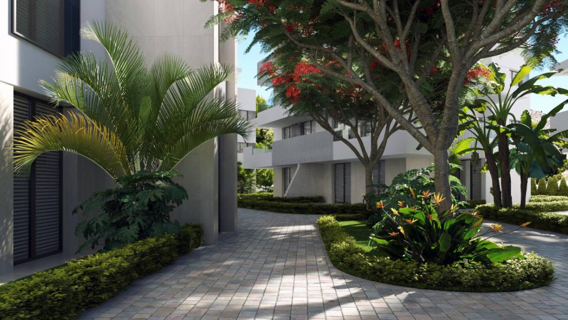 Nueva construcción  - Apartment - Torre-Pacheco - Torre-Pacheco Centro