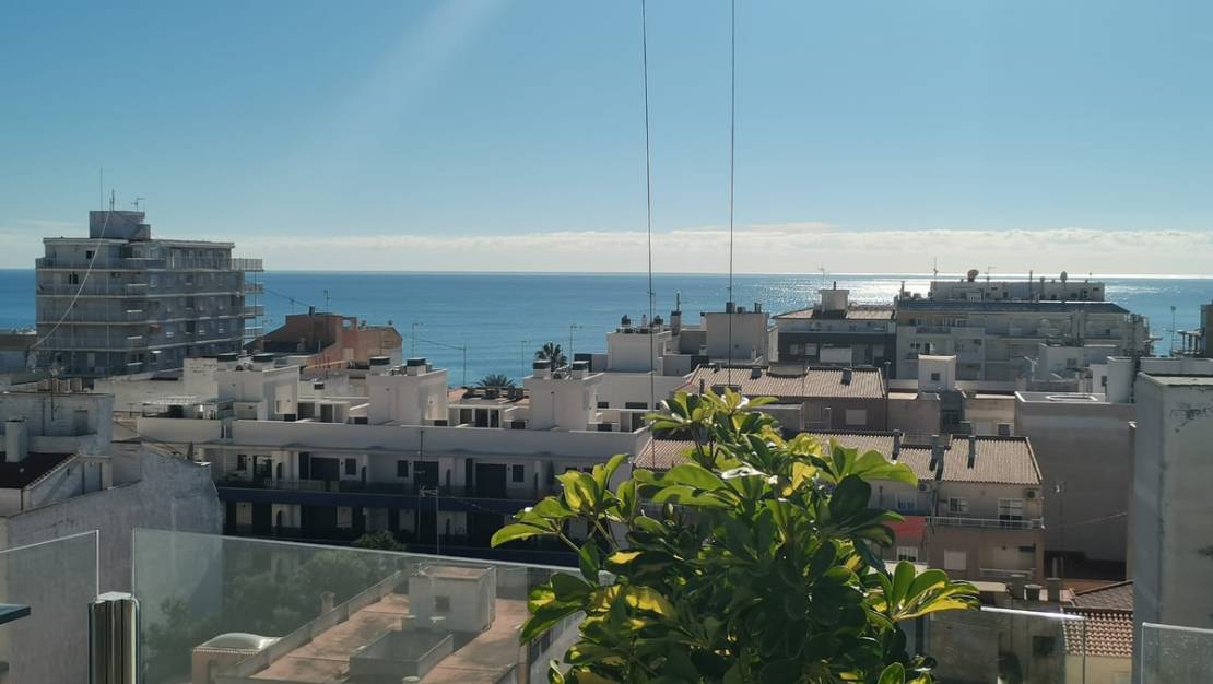 Nueva construcción  - Apartment - Torrevieja - Torrevieja Centro