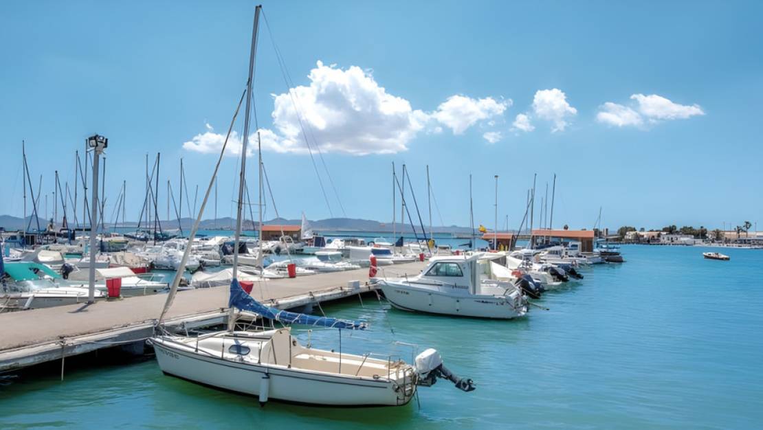 Nueva construcción  - Apartment - Torrevieja - Torrevieja Centro