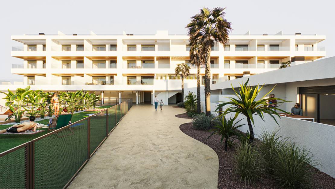 Nueva construcción  - Apartment - Torrevieja - Torrevieja Centro