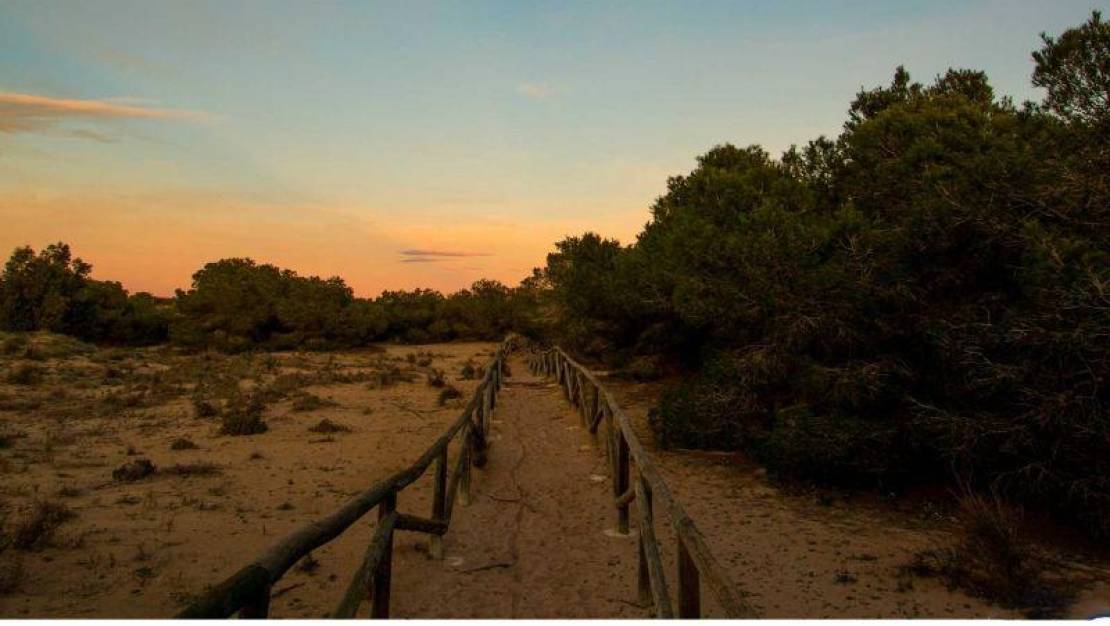Nueva construcción  - Chalet - La Marina - La Marina / El Pinet