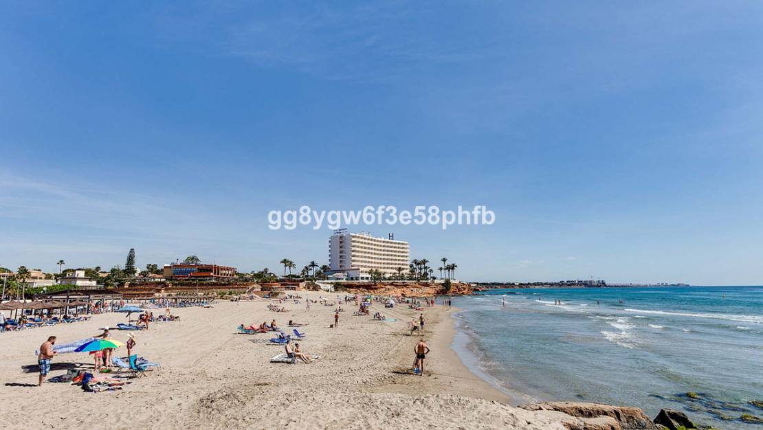 Nueva construcción  - Chalet - Orihuela - La Zenia