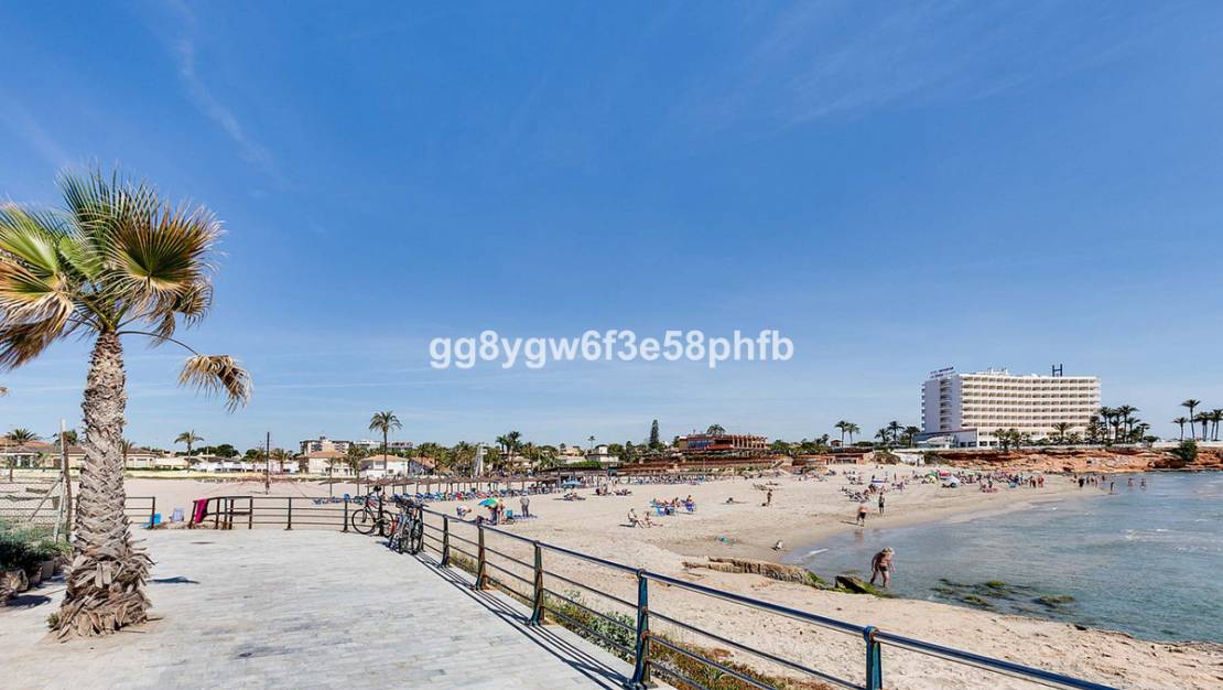 Nueva construcción  - Chalet - Orihuela - La Zenia