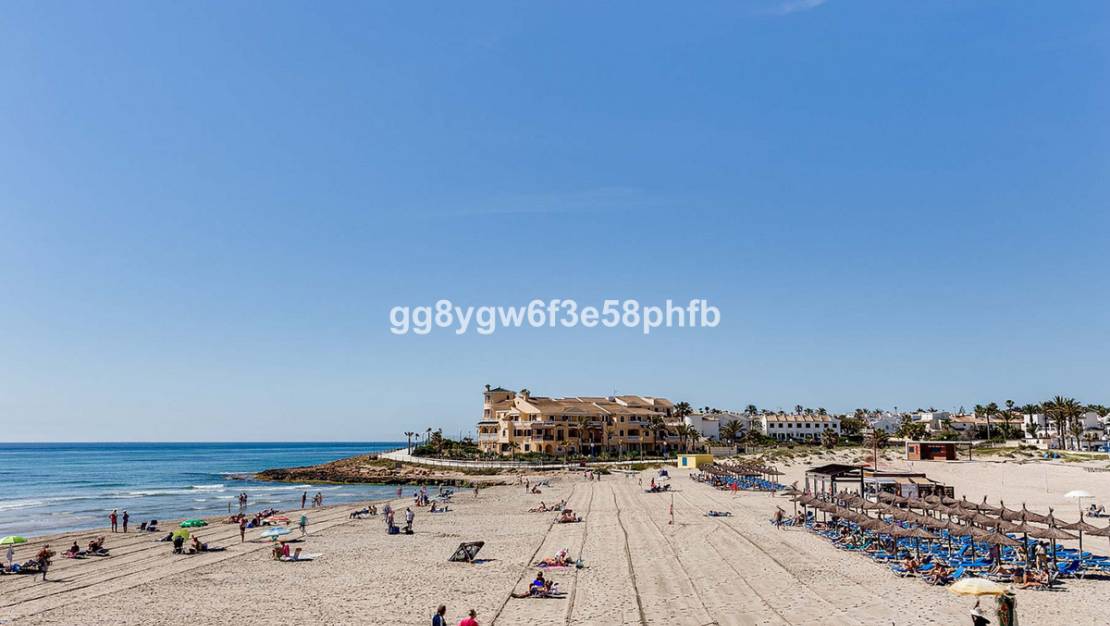 Nueva construcción  - Chalet - Orihuela - La Zenia