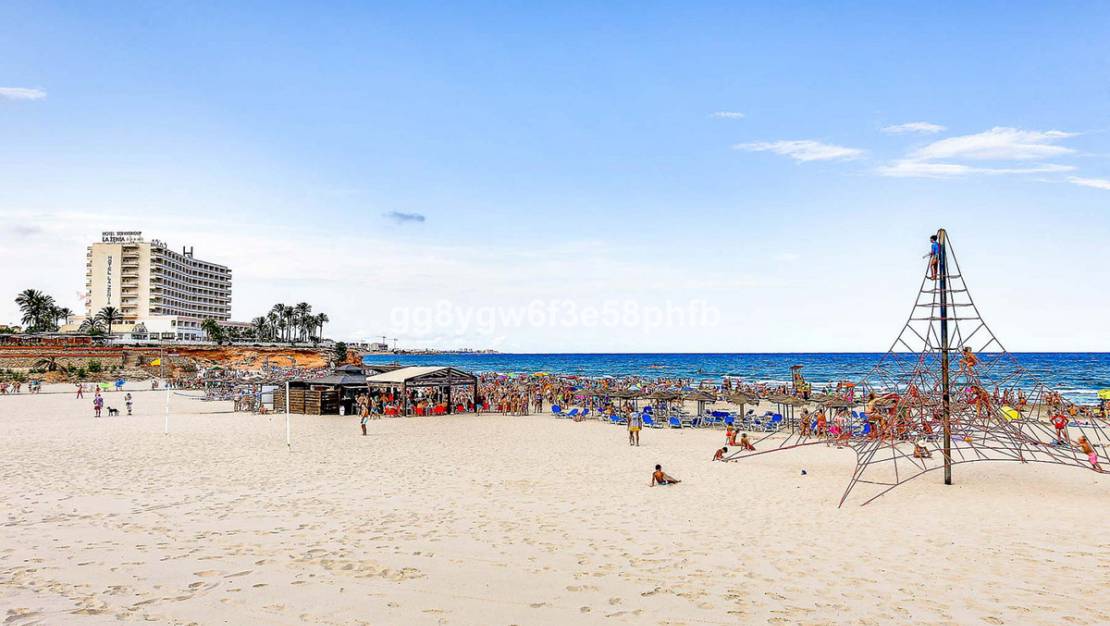 Nueva construcción  - Chalet - Orihuela - La Zenia