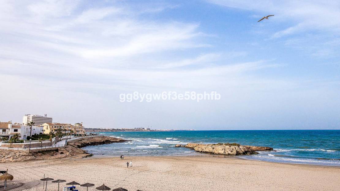 Nueva construcción  - Chalet - Orihuela - La Zenia