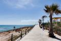 Nueva construcción  - Chalet - Orihuela - La Zenia
