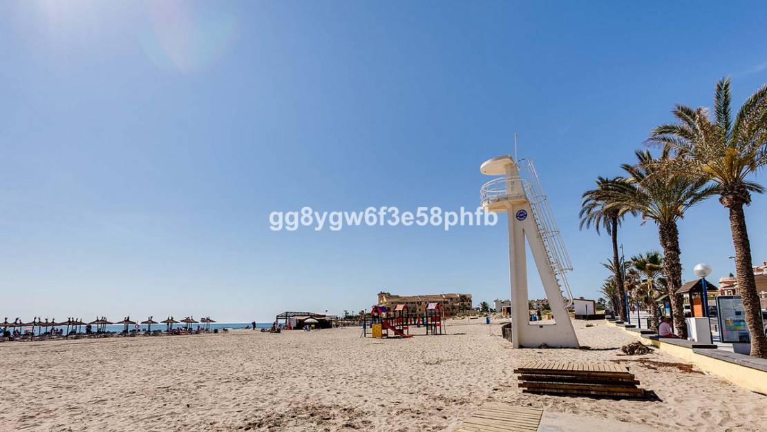 Nueva construcción  - Chalet - Orihuela - La Zenia
