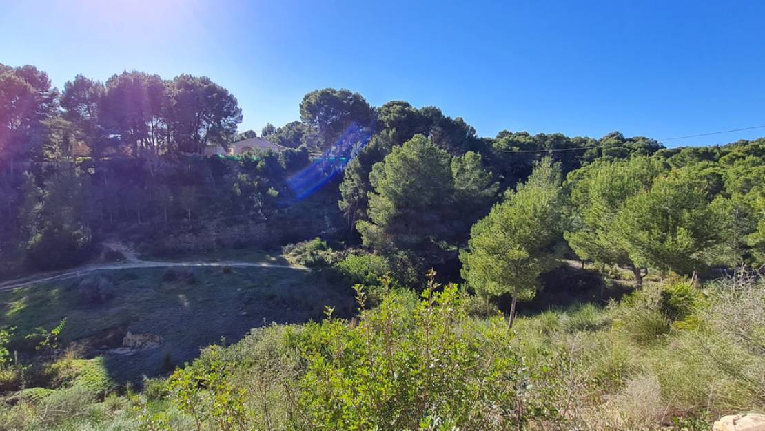 Nueva construcción  - Chalet - Pilar de la Horadada - Pinar de Campoverde