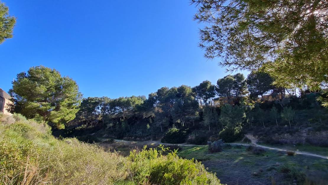 Nueva construcción  - Chalet - Pilar de la Horadada - Pinar de Campoverde