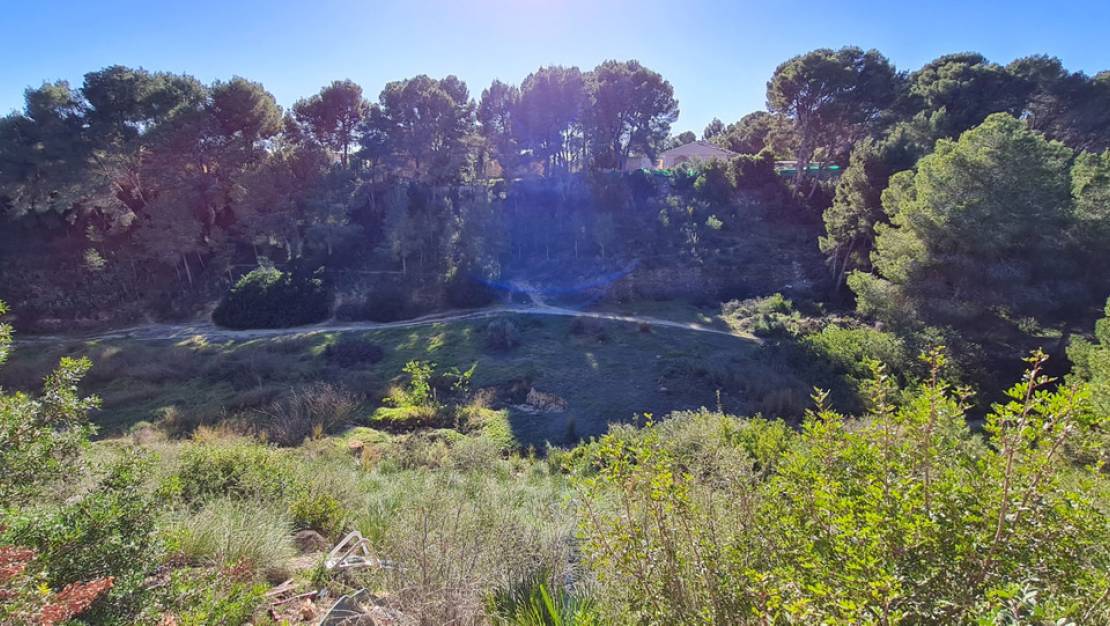 Nueva construcción  - Chalet - Pilar de la Horadada - Pinar de Campoverde