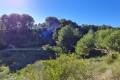 Nueva construcción  - Chalet - Pilar de la Horadada - Pinar de Campoverde